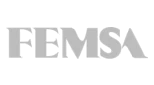 imagen logo femsa